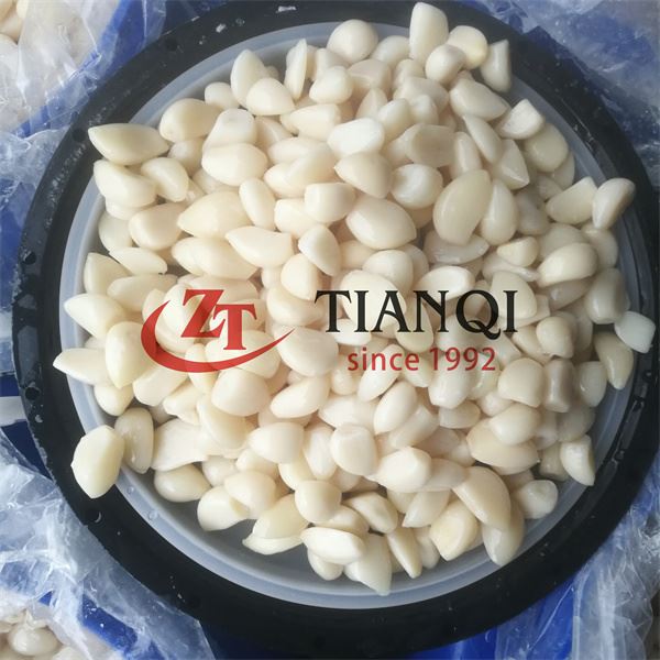 Fresh raw garlic in brine from China Fresh raw garlic in brine from China